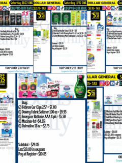 DG Coupon Deals 11_22_25