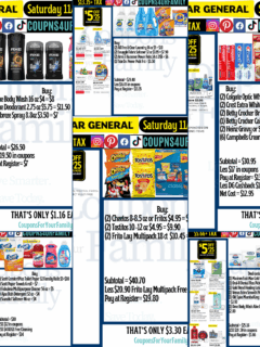 Dollar General Coupon Deals 11_15_25