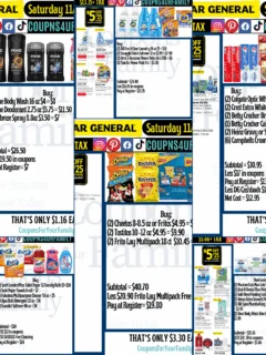 Dollar General Coupon Deals 11_15_25