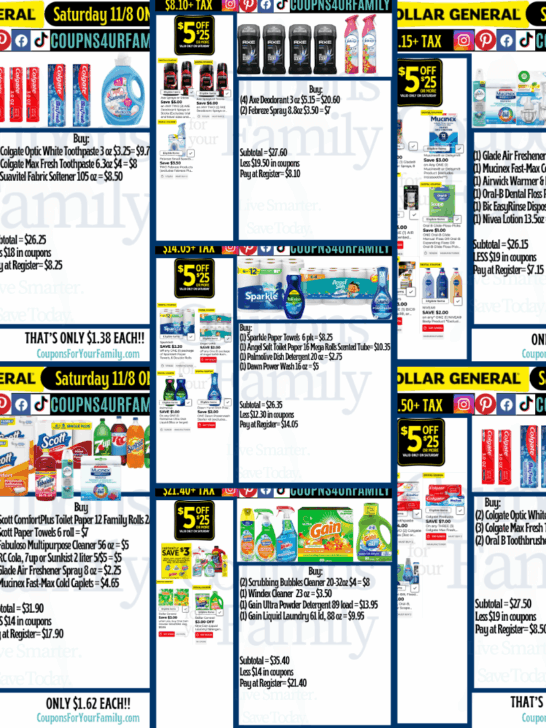 Dollar General Coupon Deals 11_8_25