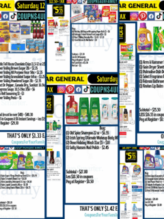 Dollar General Coupon Deals 12_13_25
