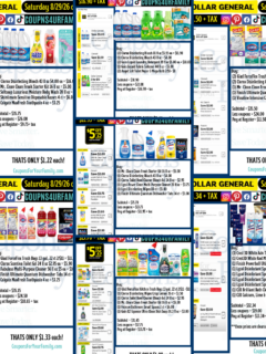 Dollar General Scenarios 8_29_26