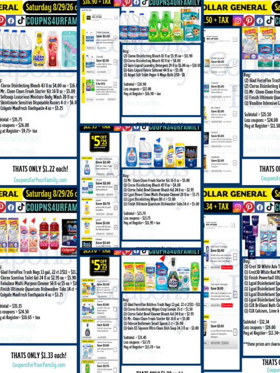 Dollar General Scenarios 8_29_26